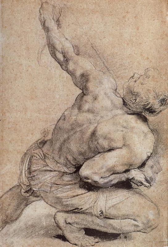 Peter Paul Rubens Pencil sketch of man-s back oil painting image